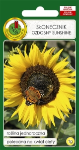 Nasiona PNOS - slonecznik ozdobny sunshine