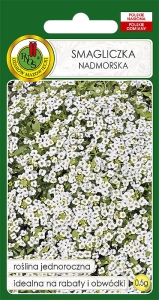 Nasiona PNOS - smagliczka nadmorska (benthami) biala.jpg