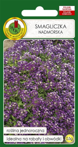 Nasiona PNOS - smagliczka nadmorska (benthami) lila.jpg