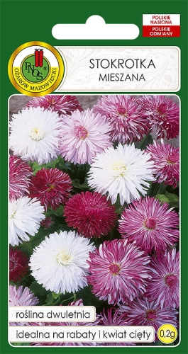 Nasiona PNOS - nasiona kwiatów - Stokrotka Superenorma mieszana