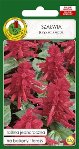 Szałwia BŁYSZCZĄCA różowa 0,5g