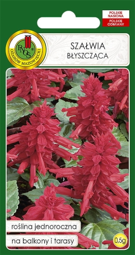 Nasiona PNOS - szalwia rozowa.jpg