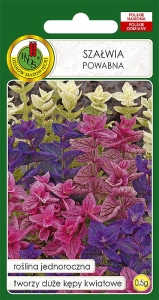 Nasiona kwiatów PNOS-Nasiona szałwii-Szałwia powabna mieszana