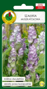 Nasiona PNOS - nasiona kwiatów - Szałwia muszkatołowa