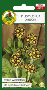 Nasiona PNOS - nasiona kwiatów - Pierwiosnek Omszony