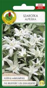 Nasiona PNOS - nasiona kwiatów - Szarotka Alpejska