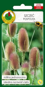 Nasiona PNOS - nasiona kwiatów - Szczeć pospolita 1g