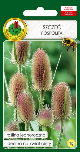 Nasiona PNOS - nasiona kwiatów - Szczeć pospolita 1g