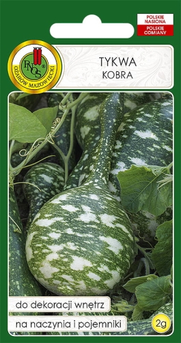 Nasiona PNOS - tykwa kobra