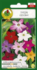 Nasiona PNOS - tyton ozdobny mix
