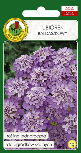 Nasiona PNOS - ubiorek baldaszkowy lila