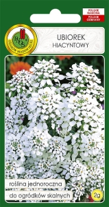 Nasiona PNOS - Ubiorek hiacyntowy