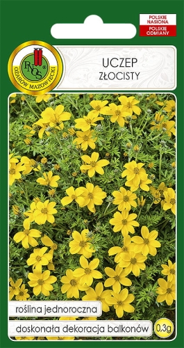 Nasiona PNOS - uczep zlocisty