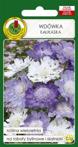 Nasiona PNOS - nasiona kwiatów - Wdówka Kaukaska mieszana