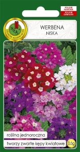 Nasiona PNOS - werbena niska
