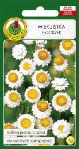 Nasiona PNOS - wiekuistka