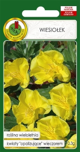 Nasiona PNOS - nasiona kwiatów - Wiesiołek żółty