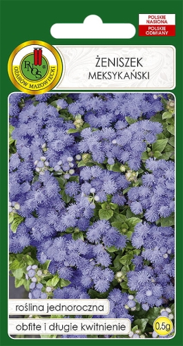 Nasiona PNOS - zeniszek meksykanski niebieski