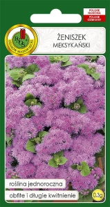 Nasiona PNOS - zeniszek meksykanski rozowy