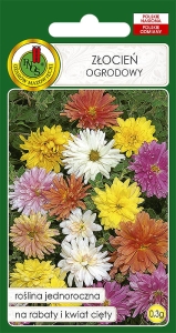 Nasiona PNOS - Zlocien ogrodowy