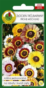 Nasiona PNOS - zlocien