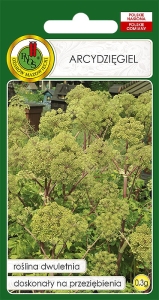 Nasiona PNOS - Nasiona Ziół - arcydziegiel
