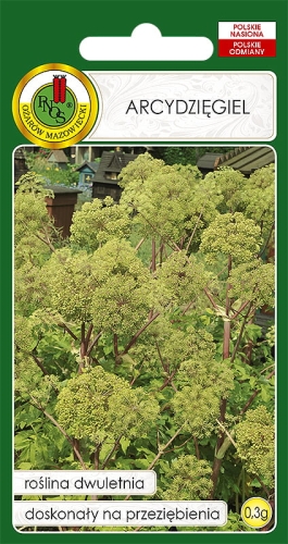 Nasiona PNOS - Nasiona Ziół - arcydziegiel