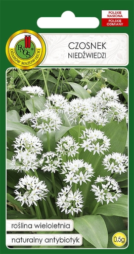 Nasiona PNOS-Nasiona ziół-Czosnek niedźwiedzi