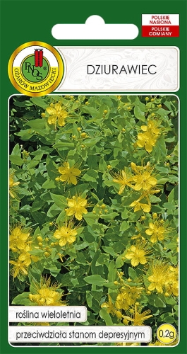 Nasiona PNOS-Nasiona ziół-Dziurawiec