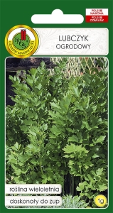 Nasiona PNOS-Nasiona ziół-Lubczyk ogrodowy