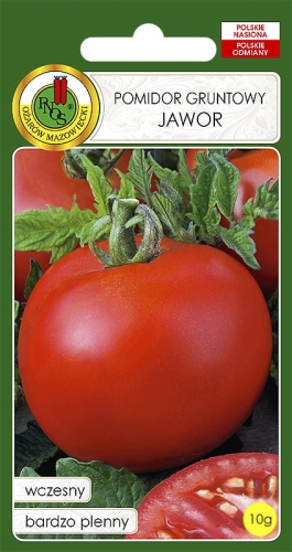 Nasiona warzyw PNOS-Nasiona pomidorów-Pomidor gruntowy Jawor 10g
