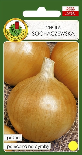 Nasiona PNOS - cebula Sochaczewska opakowanie 100g