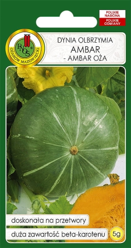 Nasiona PNOS - dynia Ambar Ambar OŻA