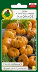 Dynia zwycz. SAM ORANGE 0,5g (Halloween)
