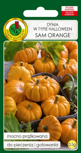 Nasiona PNOS - dynia typ halloween Sam Orange 0,5g