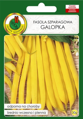 Nasiona PNOS - fasola szparagowa żółta Galopka 30g