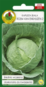 Nasiona PNOS - nasiona kapusty białej