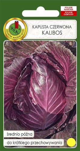 Nasiona PNOS- nasiona kapusty czerwonej