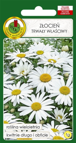 Nasiona PNOS - nasiona kwiatów - Złocień właściwy Riesenstern biały