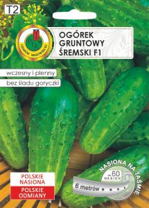 Ogórek gruntowy ŚREMSKI F1 6m