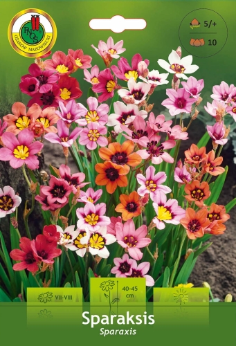 Sparaksis mix _15731.jpg