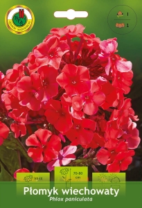 Płomyk Wiechowaty czerwony 1szt.