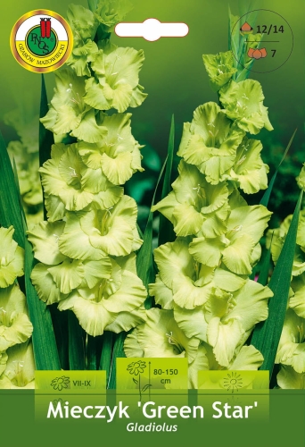 Mieczyk Green Star _15861.jpg