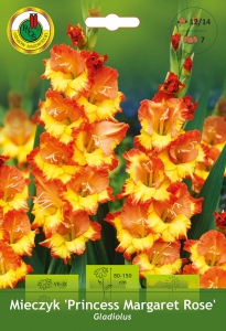 Mieczyk (Gladiolus) Princess Margaret Rose 7szt.