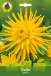 Dalia Kaktusowa żółta 1szt.