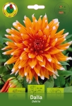 Dalia Kaktusowa pomarańczowa 1szt.