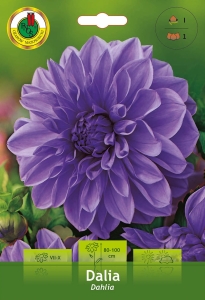 Dalia Dekoracyjna niebieska 1szt.