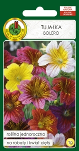 Nasiona PNOS - Nasiona Kwiatów - Tujałka Bolero