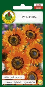 Nasiona PNOS - Nasiona Kwiatów - wenidium pomaranczowe.jpg