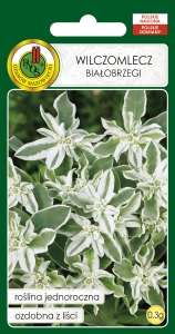 Nasiona PNOS - nasiona Kwiatów - wilczomlecz bialobrzegi